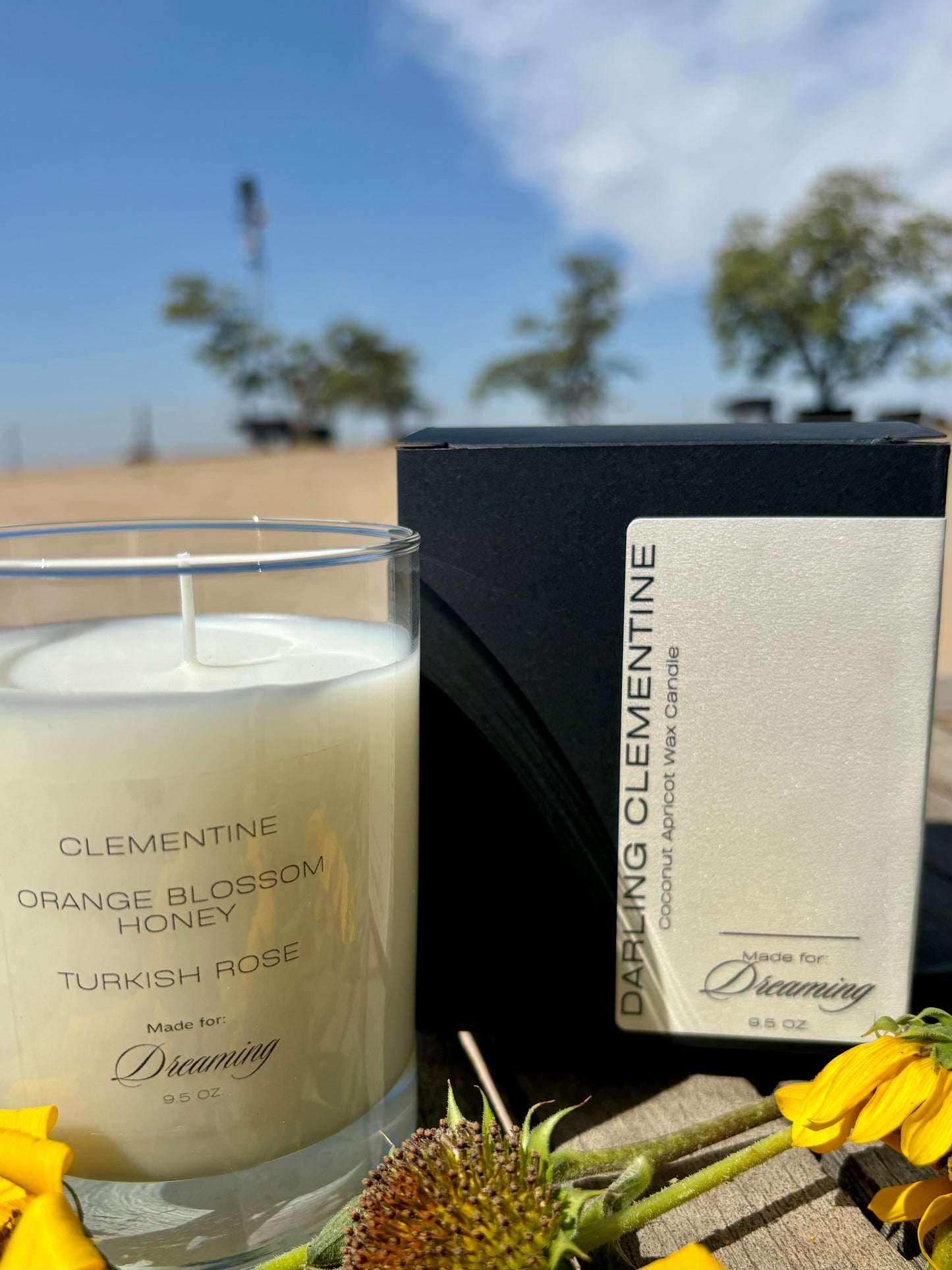 Darling Clementine, Coconut Apricot Wax Candle